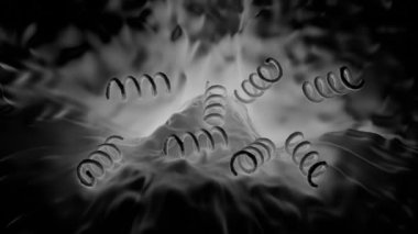 Treponema Pallidum Bakterileri Frengiye sebep oluyor