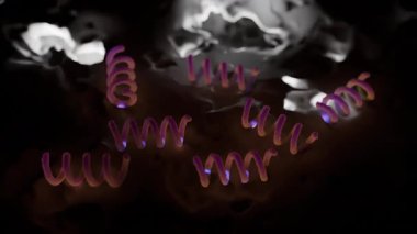 Treponema Pallidum Bakterileri Frengiye sebep oluyor