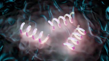 Treponema Pallidum Bakterileri Frengiye sebep oluyor