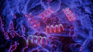 Treponema Pallidum Bakterileri Frengiye sebep oluyor