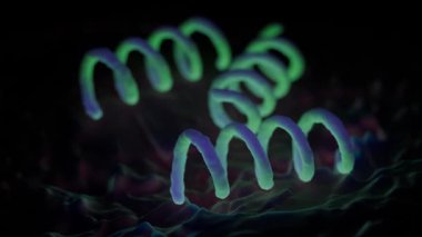 Treponema Pallidum Bakterileri Frengiye sebep oluyor