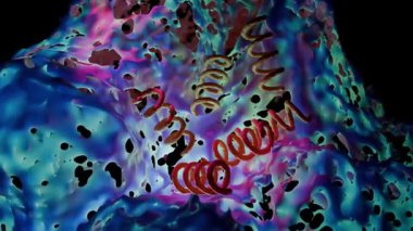 Treponema Pallidum Bakterileri Frengiye sebep oluyor