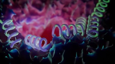 Treponema Pallidum Bakterileri Frengiye sebep oluyor