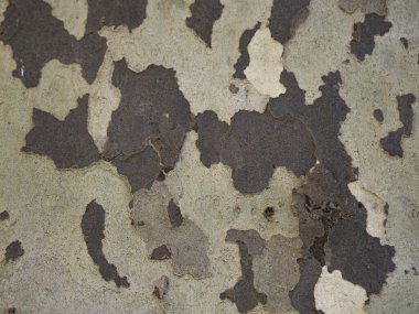 Eski beton doku arka planı. Ahşap doku arkaplanı.