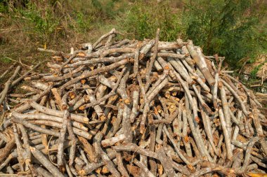 Evi ısıtmak için hazırlanmış odun yığını, kışın ısınmak için toplanmış odun yığını, yığılmış odun yığını ve kış için hazırlanmış odun yığını..