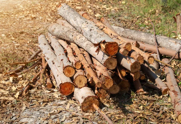 Evi ısıtmak için hazırlanmış odun yığını, kışın ısınmak için toplanmış odun yığını, yığılmış odun yığını ve kış için hazırlanmış odun yığını.