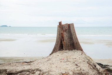 Denizin arka planında tahta bir kütük, denizde bir kaide ve ufuk çizgisi. Bir yaz gününde.