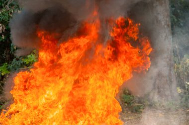 Gece şenlik ateşi, ateş alevleri, kıvılcımlar.