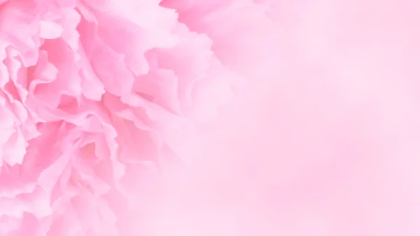 Invitation Card Pink Carnation Wedding Card Template Floral Background Elegance — Stock Photo, Image