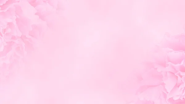 Invitation Card Pink Carnation Wedding Card Template Floral Background Elegance — Stock Photo, Image