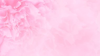 Pembe karanfilli davetiye kartı. Düğün kartı şablonu. Çiçek arka plan. Çiçeklerle şıklık deseni