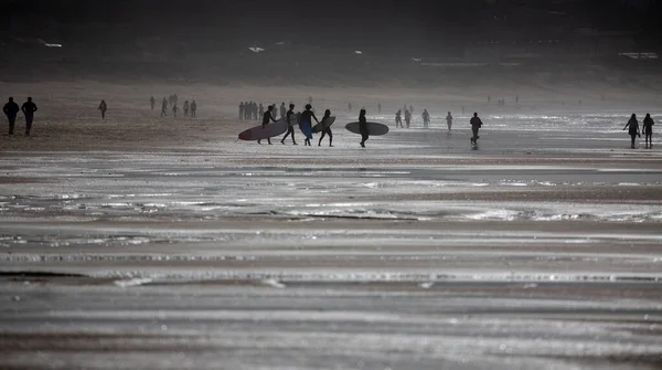 Bir Grup Sörfçü Grove Daki Bir Lanzada Plajından Denize Giriyor — Stok fotoğraf