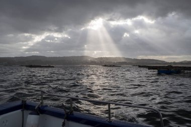 Balıkçı teknesi Arousa nehrinde çokgen sallarda yüzüyor.