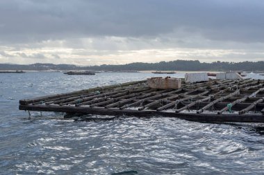 Galiçya 'daki Arousa haliçlerinde çoklu sallarda midye yetiştirme salları.