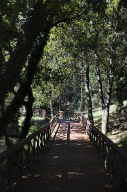A Laracha 'daki Anllons Nehri' nin tahta nehir yolu. Tahta yürüyüş