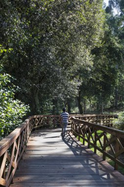 A Laracha 'daki Anllons Nehri' nin tahta nehir yolu. Tahta yürüyüş