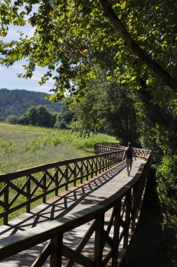 A Laracha 'daki Anllons Nehri' nin tahta nehir yolu. Tahta yürüyüş