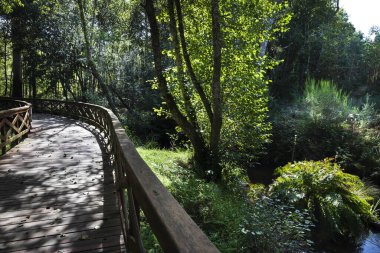 A Laracha 'daki Anllons Nehri' nin tahta nehir yolu. Tahta yürüyüş