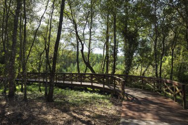 A Laracha 'daki Anllons Nehri' nin tahta nehir yolu. Tahta yürüyüş