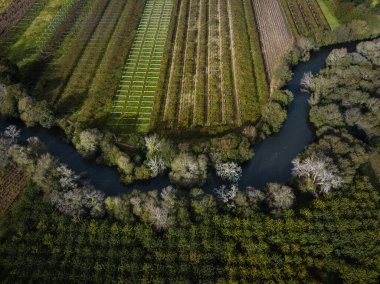 Umia Nehri 'nin Oubia, Cambados' taki Albarinho şarap yetiştirme tarlalarından geçen havadan görüntüsü.
