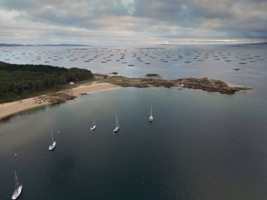 A Illa de Arousa, Rias Baixas, Galiçya 'da midye yetiştirmek için çokgen. Secada Sahili Bölgesi