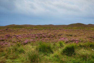 Lochan na-Achlaise 'den Glencoe dağlarının güney manzarası