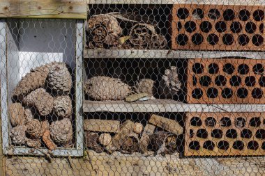 Geri dönüşümlü malzemeden yapılmış böcek oteli. Tozlaşan böcekler için otel