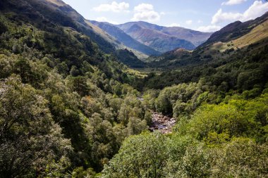 Fort William, İskoçya 'daki Ben Nevis dağının çevresindeki Glen Nevis Ormanı manzarası