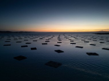 Alacakaranlıkta Ria de Arousa 'da midye ekimi için çokgen tavaların havadan görünüşü