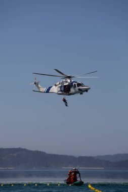 Bir deniz kurtarma helikopteri Silgar sahilinde bir maymunu kurtardı, Sanxenxo