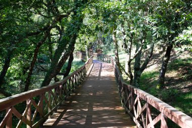 A Laracha, A Coruna 'daki Anllons Nehri' nin kıyısındaki ahşap yol..