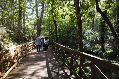 A Laracha, A Coruna 'daki Anllons Nehri' nin kıyısındaki ahşap yol..