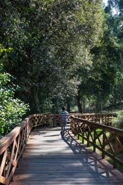 A Laracha, A Coruna 'daki Anllons Nehri' nin kıyısındaki ahşap yol..