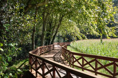 A Laracha, A Coruna 'daki Anllons Nehri' nin kıyısındaki ahşap yol..