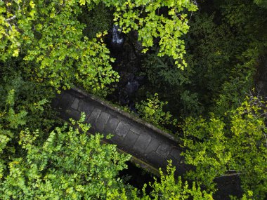 Aerial view of a medieval stone bridge as it passes through the Fragas do Eume in the surroundings of the Caaveiro monastery clipart