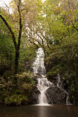 Galiçya, Boqueixon 'da bir ormanda kod şelalesi