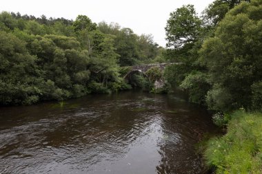 San Alberte 'nin ortaçağ köprüsü ve Guitiriz' in Parga nehri. Santiago 'lu Camino. Xacobeo