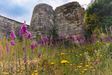 Guitiriz 'deki Pobra de Parga Kalesi