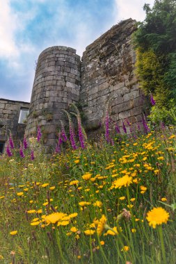 Guitiriz 'deki Pobra de Parga Kalesi