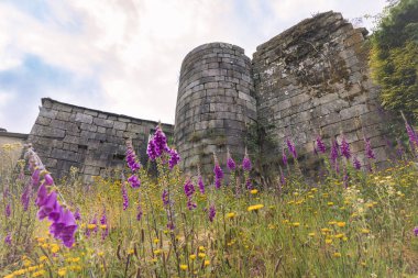 Guitiriz 'deki Pobra de Parga Kalesi