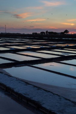 Günbatımında Portekiz, Aveiro 'nun tuzlu düzlüklerine bakın.