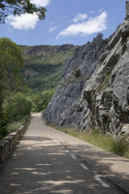 Leon, İspanya 'daki Vegacervera Geçidi' nde LE-315 Otoyolu.