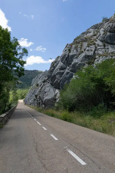 Leon, İspanya 'daki Vegacervera Geçidi' nde LE-315 Otoyolu.