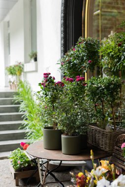 Exterior with pots of flowers on display in front of a flower shop
