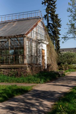 Büyük cam pencereli eski ve paslı sera.