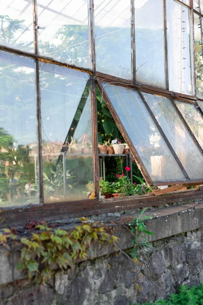 大きなガラス窓のある古くて錆びた温室 — ストック写真