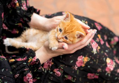 Kızıl saçlı tatlı kedi yavrusu bir kadının ellerinde.