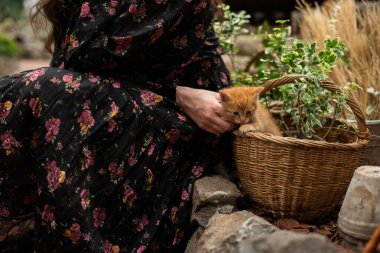 Hasır sepetteki sevimli kırmızı kedi yavrusu seradaki bitkilerin arasında bir kadının yanında.