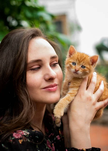 아름다운 사이에서 고양이와 — 스톡 사진