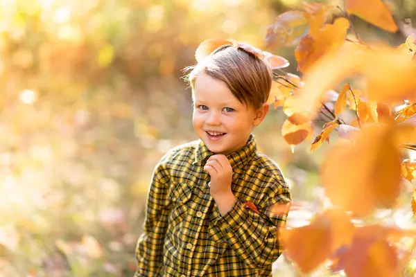Autumn Portrait Little Fair Haired Smiling Boy Yellow Shirt Park Royalty Free Stock Photos